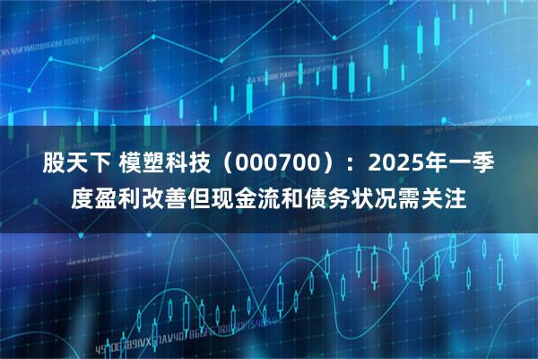 股天下 模塑科技（000700）：2025年一季度盈利改善但现金流和债务状况需关注