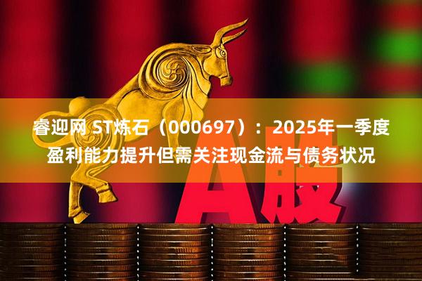 睿迎网 ST炼石（000697）：2025年一季度盈利能力提升但需关注现金流与债务状况
