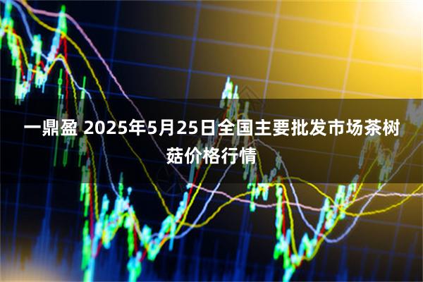 一鼎盈 2025年5月25日全国主要批发市场茶树菇价格行情