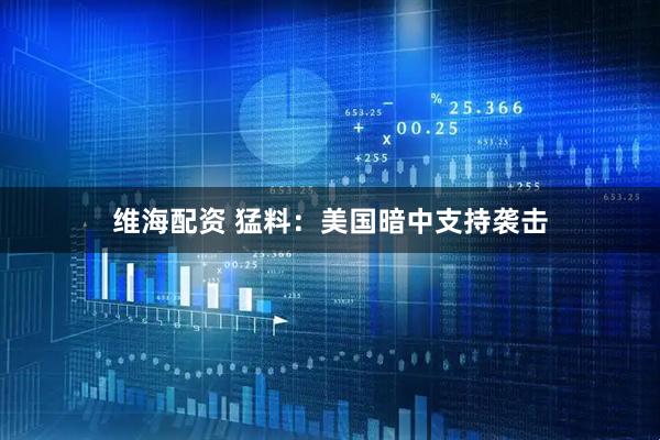 维海配资 猛料：美国暗中支持袭击