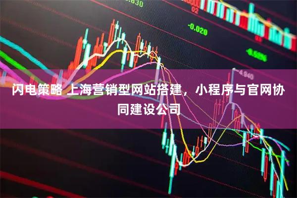 闪电策略 上海营销型网站搭建，小程序与官网协同建设公司