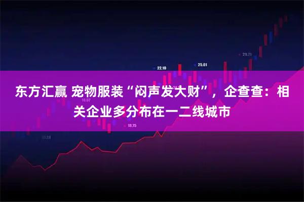东方汇赢 宠物服装“闷声发大财”，企查查：相关企业多分布在一二线城市