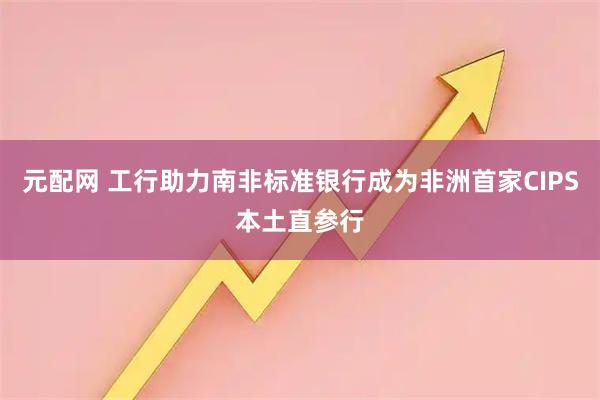 元配网 工行助力南非标准银行成为非洲首家CIPS本土直参行