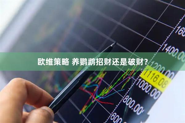 欧维策略 养鹦鹉招财还是破财？