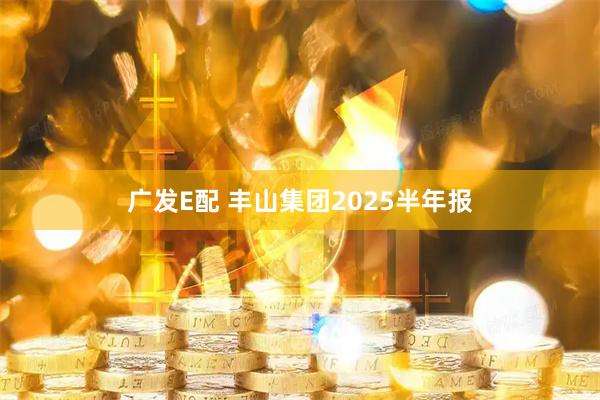 广发E配 丰山集团2025半年报